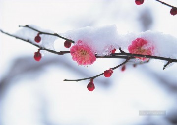 Pintura de nieve de flores rosadas de fotos a arte Pinturas al óleo